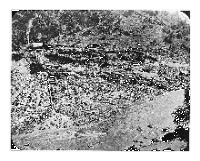 Riverside gold mine