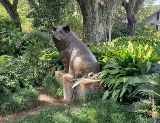 Brookgreen Gardens, Pig Sculpture