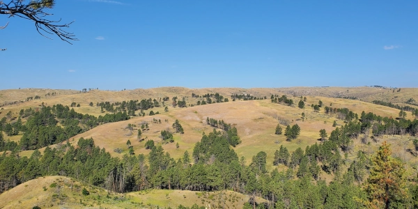 Custer State Park