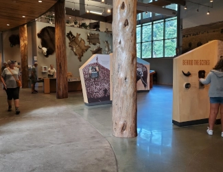 Interior of the Custer State Park Visitor Center