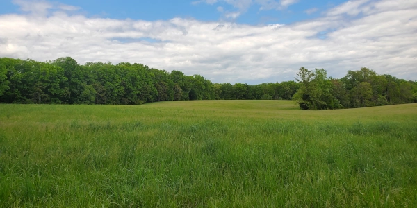 Battle of Payne's Farm