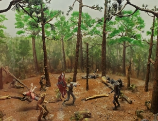 Confederate Soldiers Exhibit