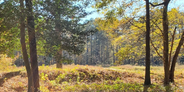 Trenches at Location of the Union Breakthrough, April 2, 1865