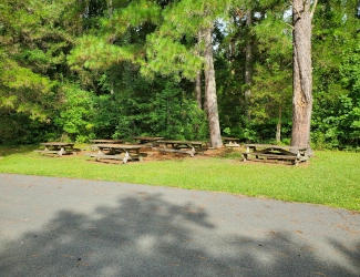 Picnic Grove at Town Creek Indian Mound State Historic Site
