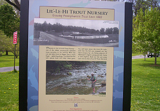 Trout Nursery