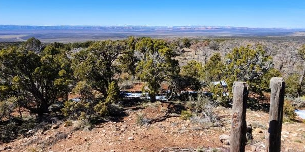 Walking Box Ranch