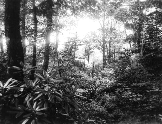 Braddocks Road