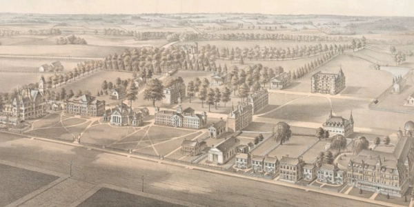 Princeton College