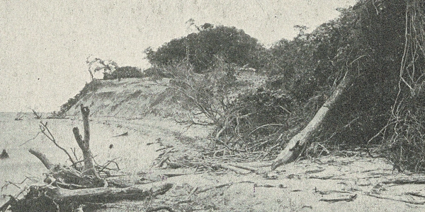 Roanoke Colony