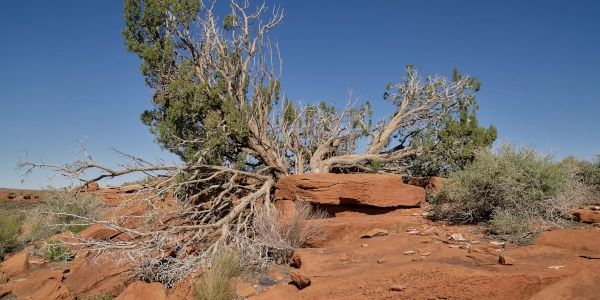 Wupatki National Monument