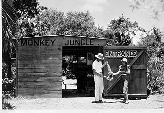 Monkey Jungle 1935
