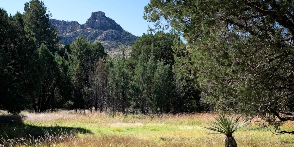 Chiricahua National Monument