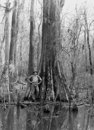 Congaree National Park
