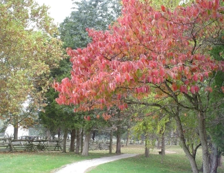Trail from Visitor Center to House Museum