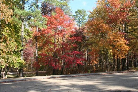 Fall colors on the Natchez Trace Parkway