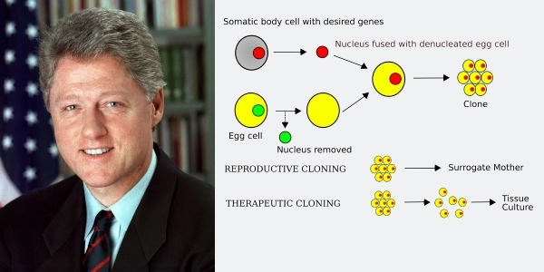 President Clinton, Ban on Human Cloning