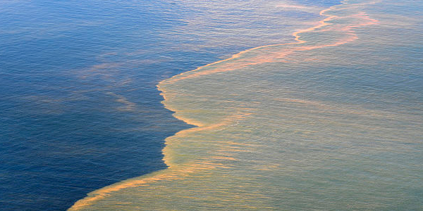 Gulf of Mexico Oil Spill